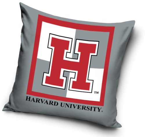 Harvard Univercity párnahuzat 40x40 cm