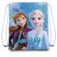 Disney Jégvarázs Journey sporttáska tornazsák 40 cm