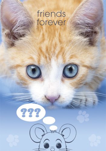 Cicás Friends Forever A/4 gumis mappa