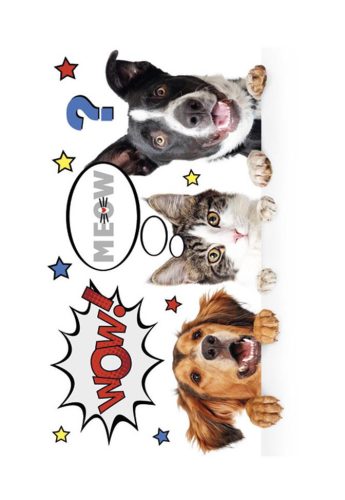 Állatos Furry Friends A/4 gumis mappa