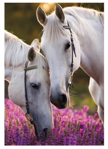 Lovas Whispers A/4 gumis mappa